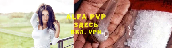 прущие крисы Вязьма