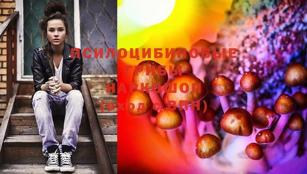 метадон Вяземский
