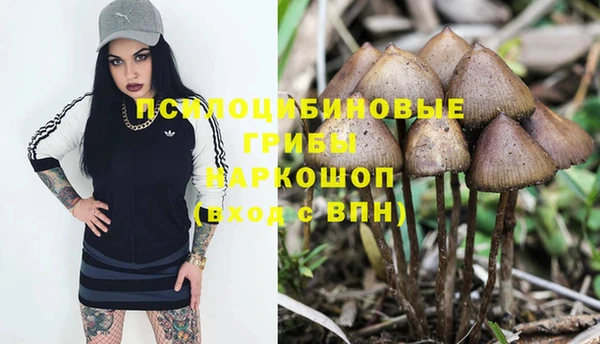 прущие крисы Вязьма