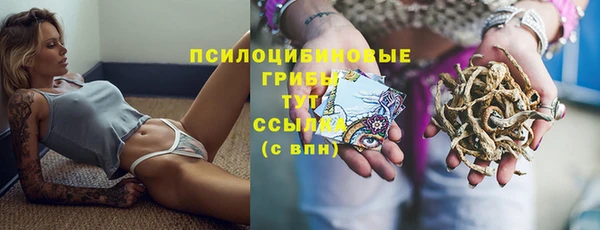 прущие крисы Вязьма