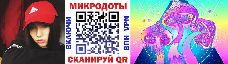 Псилоцибиновые грибы мухоморы Москва