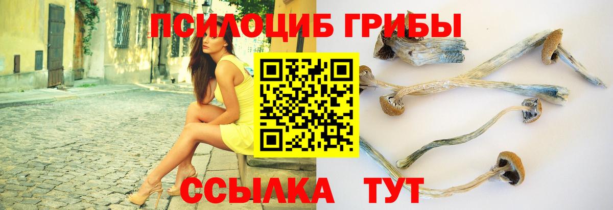 Псилоцибиновые грибы прущие грибы  Вход с VPN  Москва 